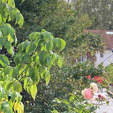 Appartement Avec Vue Sur L Adour Urt Bagian luar foto