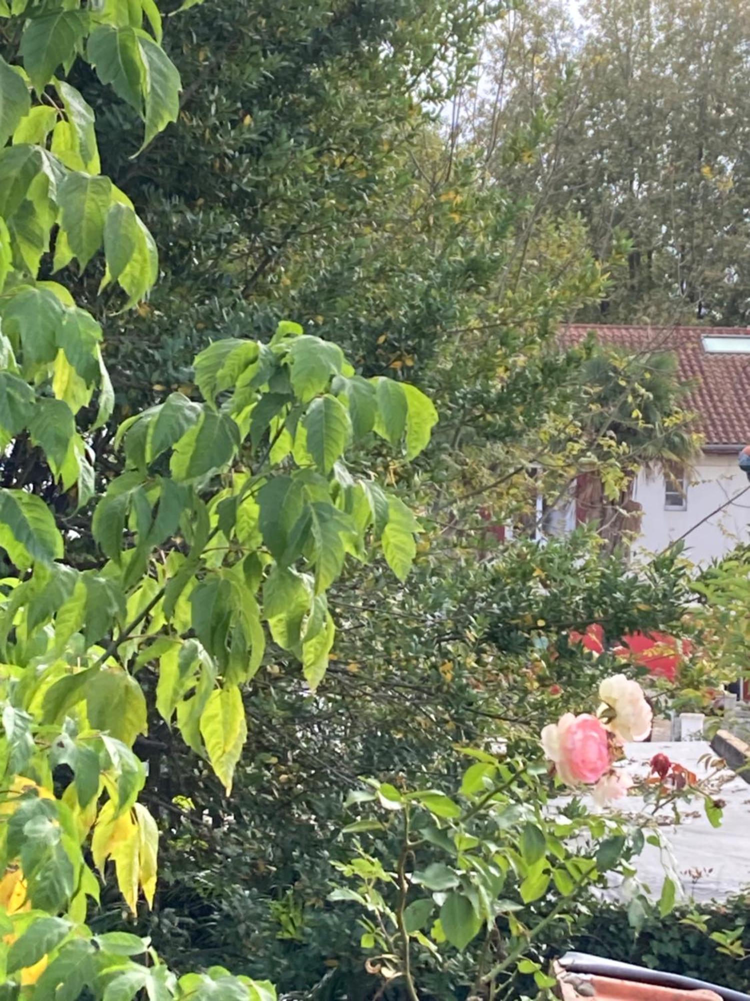 Appartement Avec Vue Sur L Adour Urt Bagian luar foto